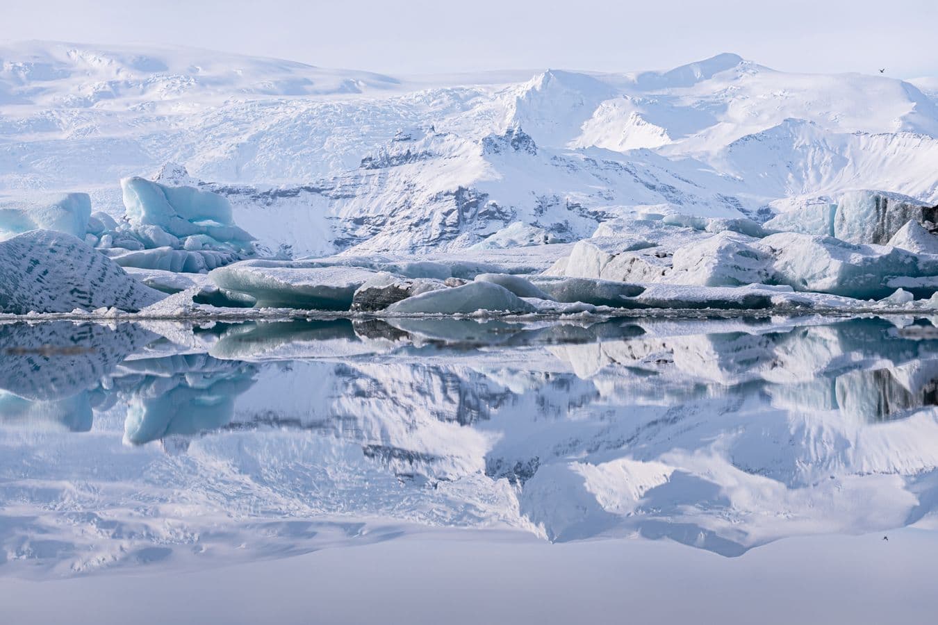 Private South Coast & Jökulsárlón Tour by Luxury SUV image 1