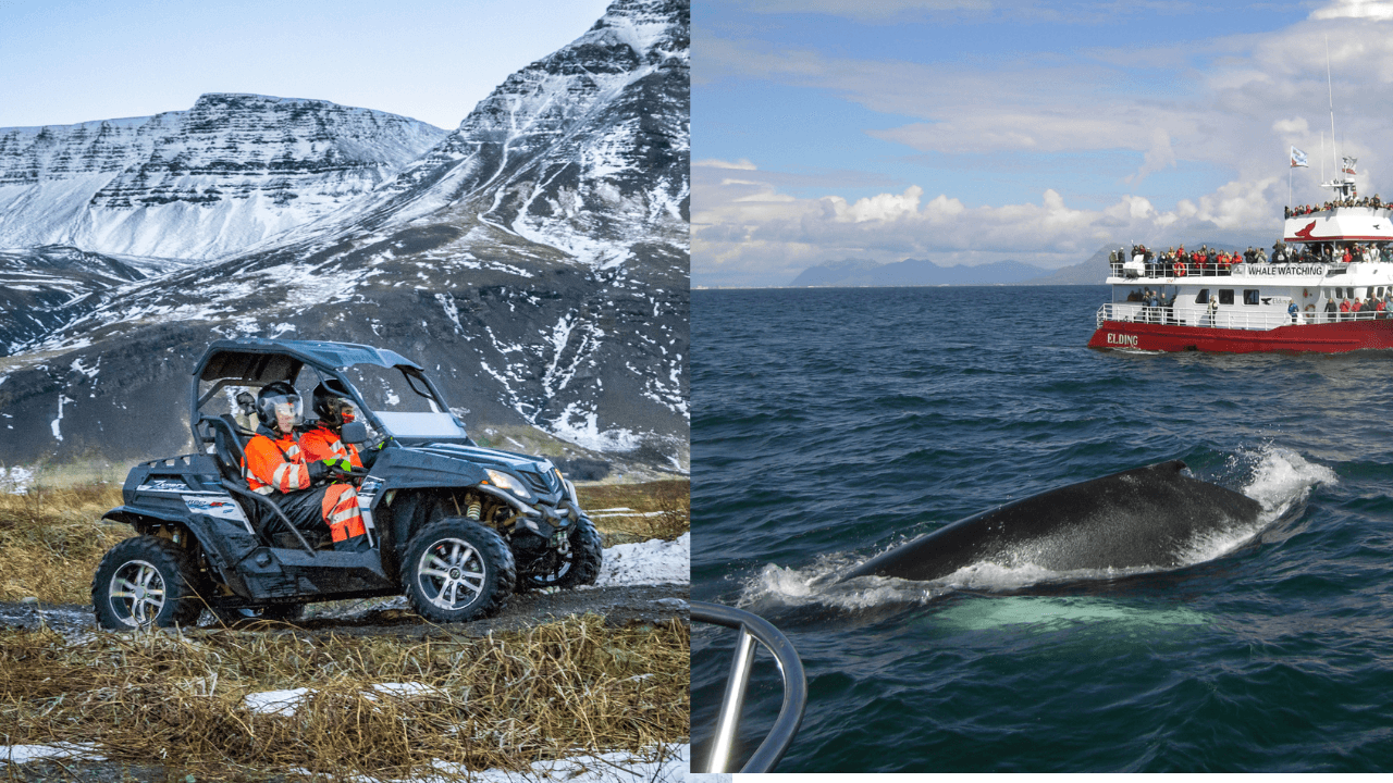 Reykjavík: Buggy Safari & Whale Watching Full-Day Combo image 1