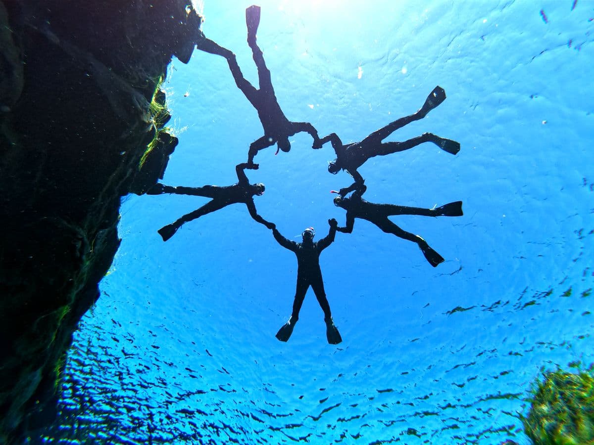 Reykjavík: Snorkel Silfra Fissure in Þingvellir – Wetsuit or Drysuit image 1