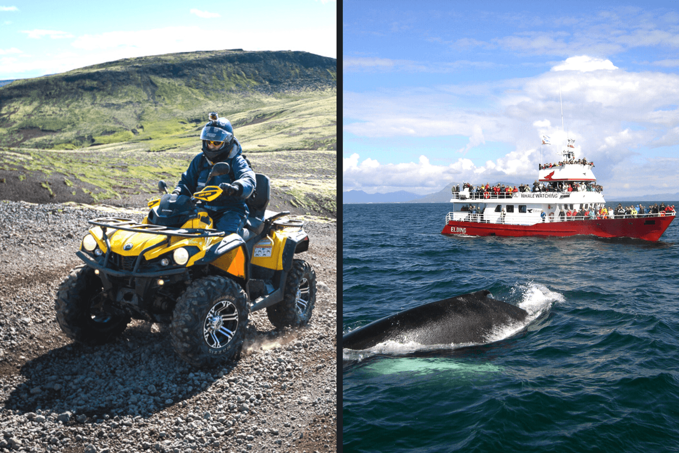 Reykjavík: ATV & Whale Watching Combo Tour – Full Day image 1